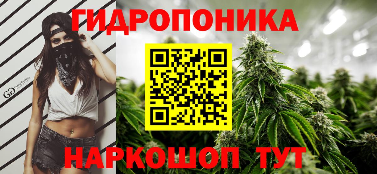Ухта  МАРИХУАНА семена  Каннабис Ganja  Марихуана White Widow  Марихуана план  Вход с VPN 